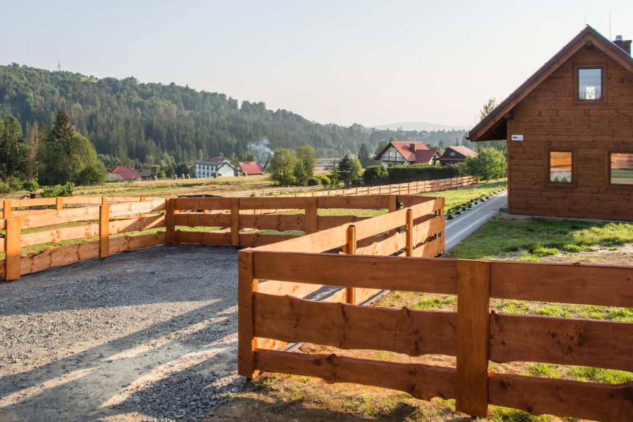 U Jana I Wita Villa Istebna Kültér fotó